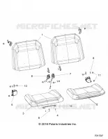 ASIENTO AND BELTS