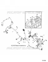 ELECTRICA, WIRE HARNESS