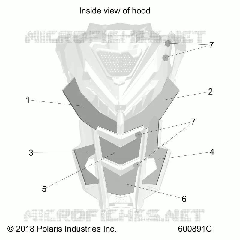 BODY, HOOD FOAM/FIBER