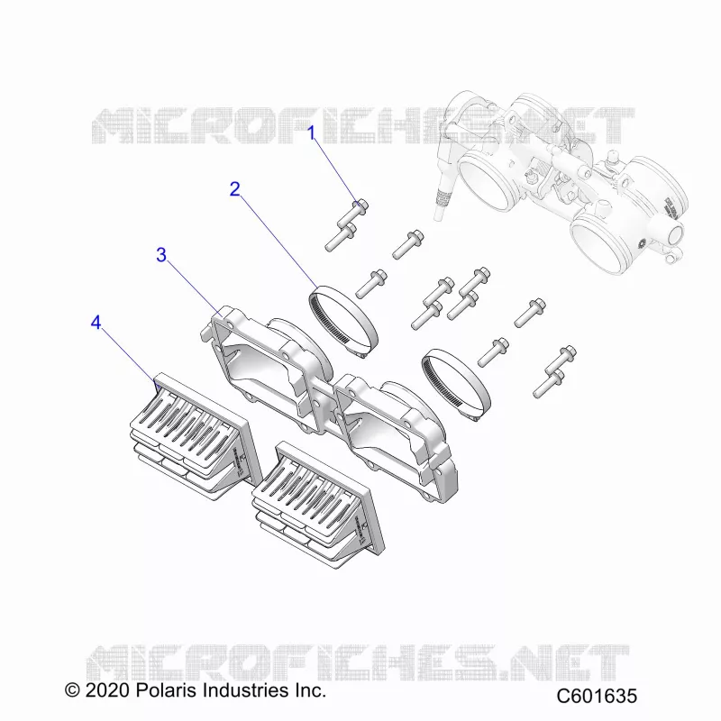 ENGINE, REED VALVE AND CUERPO DE MARIPOSA ADAPTOR