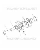 MOTOR, CIGUEÑAL
