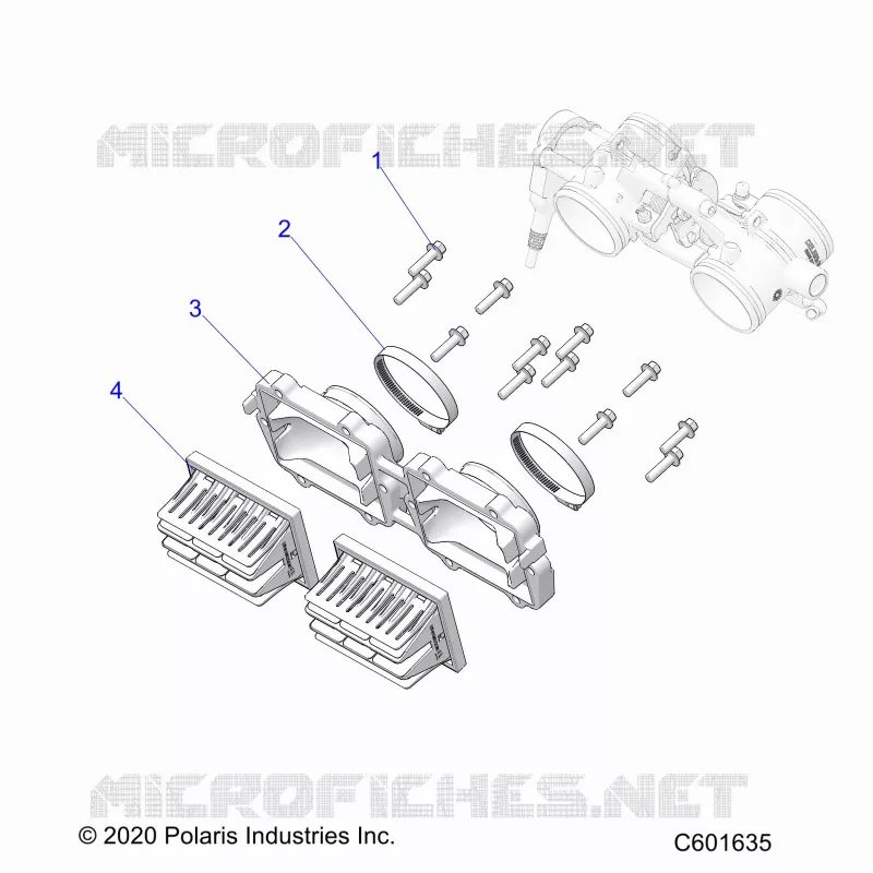 ENGINE, REED VALVE AND CUERPO DE MARIPOSA ADAPTOR -S24TKP8RS (C601635)