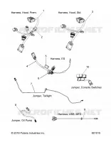 ELECTRICA, JUMPERS/WIRE HARNESS