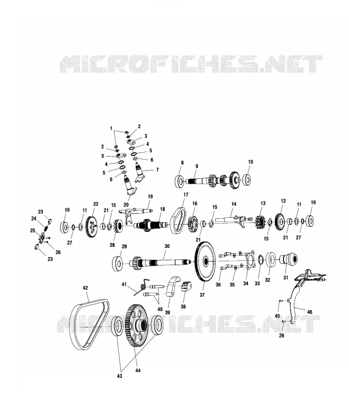 CAJA DE ENGRANAJES (INTERNAL COMPONENTS)