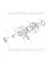 MOTOR, CIGUEÑAL