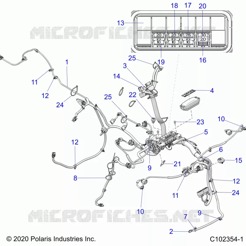 ELECTRICA, HARNESS