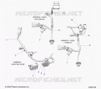 ELECTRICA, WIRE HARNESS, HOOD, ELECTRIC START