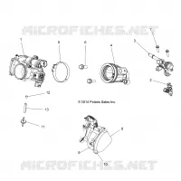 ENGINE, CUERPO DE MARIPOSA AND FUEL RAIL
