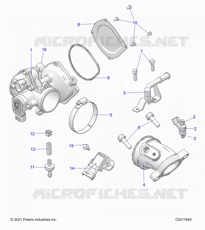 ENGINE, CUERPO DE MARIPOSA AND FUEL RAIL