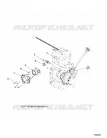 ENGINE, CUERPO DE MARIPOSA AND FUEL RAIL