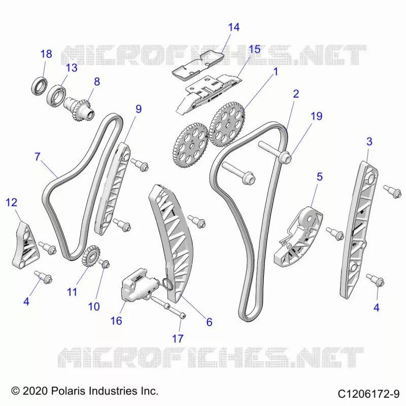 ENGINE, TIMING AND OIL CADENA DRIVES