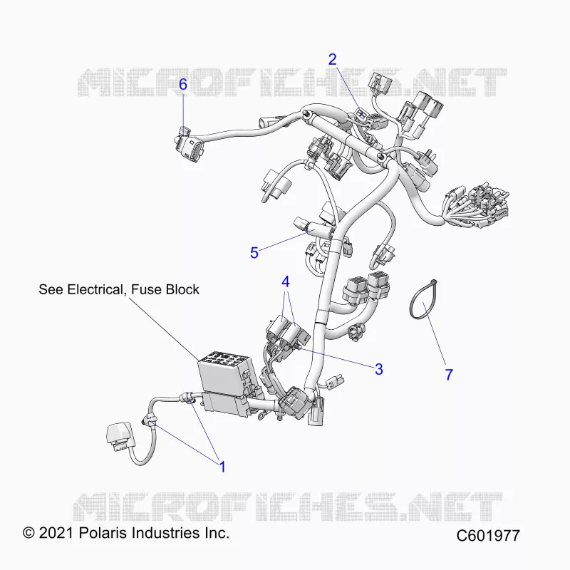 ELECTRICA, WIRE HARNESS, MAIN