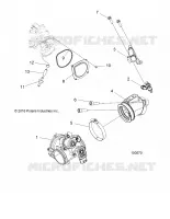 CUERPO DE MARIPOSA AND FUEL RAIL