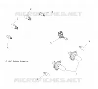 ELECTRICA, BULBS