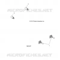 ELECTRICA, BULBS