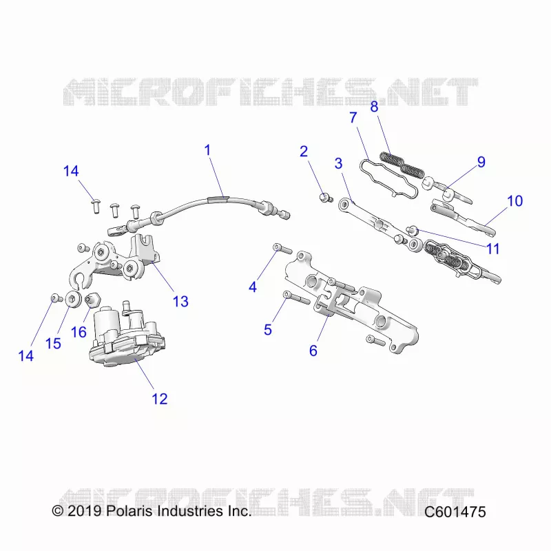 ENGINE, VALVOLA ESCAPE ASM. AND ACTUATOR