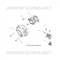 CUERPO DE MARIPOSA AND GASOLINA RAIL