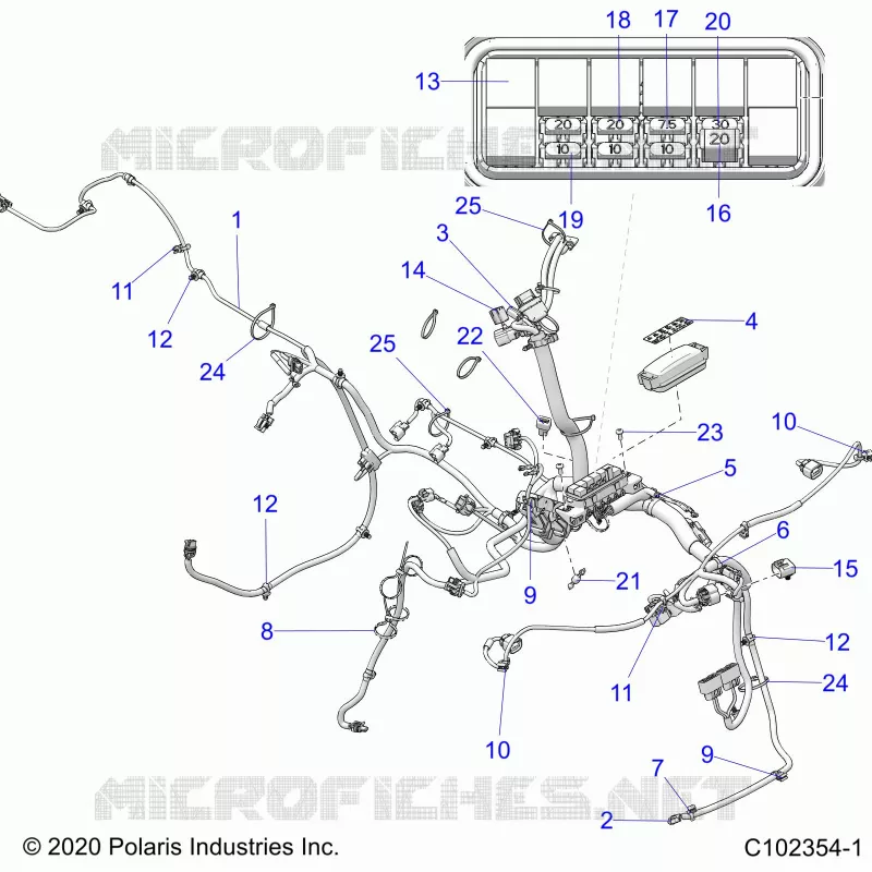 ELECTRICA, HARNESS