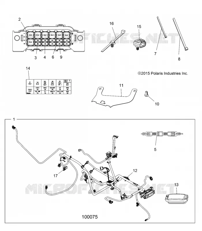 ELECTRICA, HARNESS