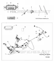 ELECTRICA, HARNESS