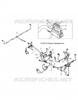 ELECTRICA, HARNESS