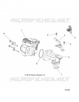 CUERPO DE MARIPOSA AND FUEL RAIL