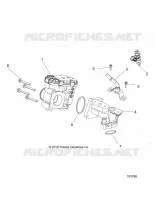 ENGINE, CUERPO DE MARIPOSA AND FUEL RAIL