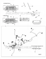ELECTRICA, HARNESS