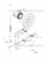 ELECTRICA, IGNITION SYSTEM
