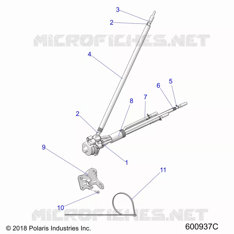 BOMBA DE ACEITE ASM.