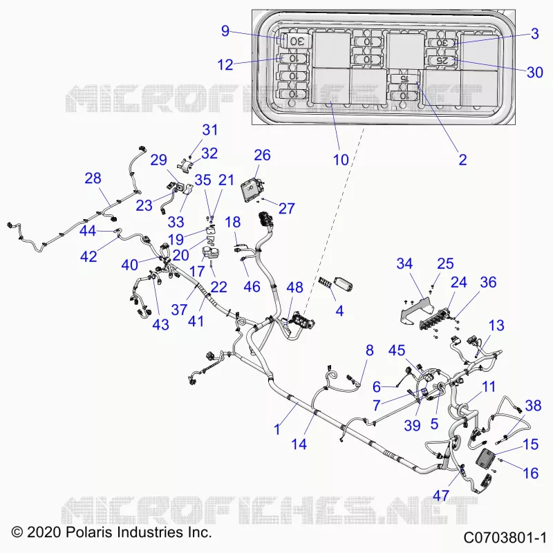 ELECTRICA, WIRE HARNESS
