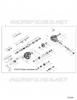 DRIVE TRAIN, PRINCIPAL GEARCASE INTERNALS