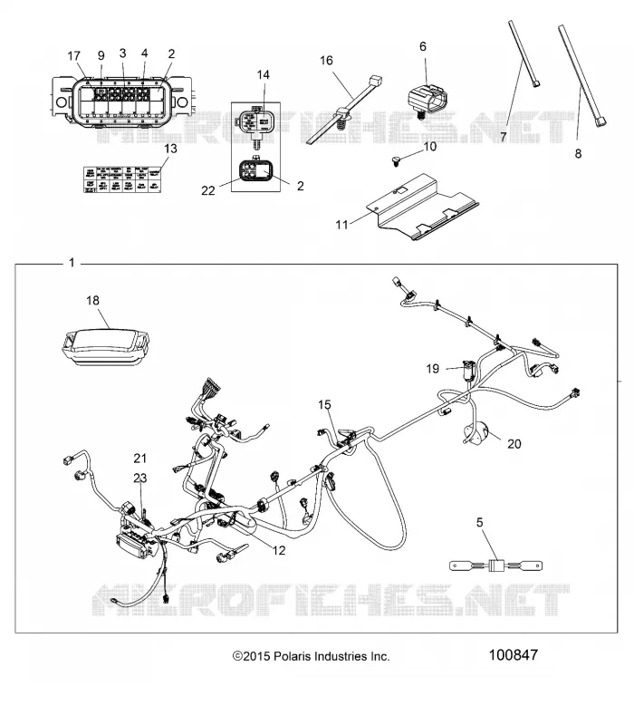 ELECTRICA, HARNESS