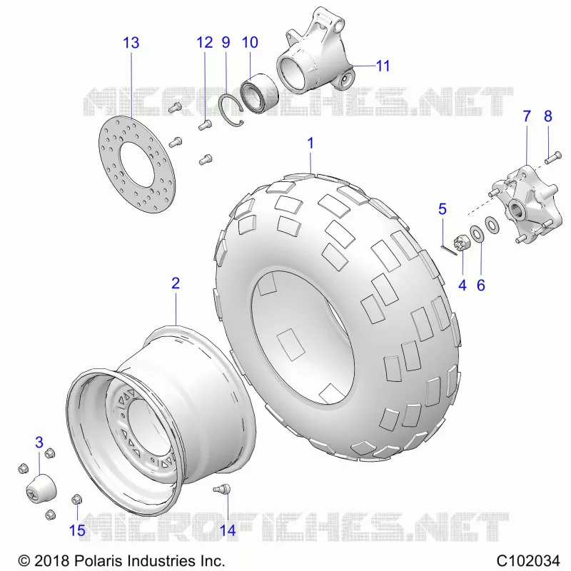 RUEDAS, REAR TIRE AND BRAKE DISC