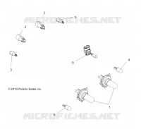 ELECTRICA, BULBS