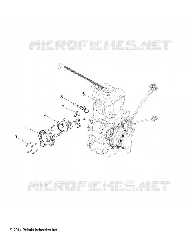 ENGINE, CUERPO DE MARIPOSA AND FUEL RAIL