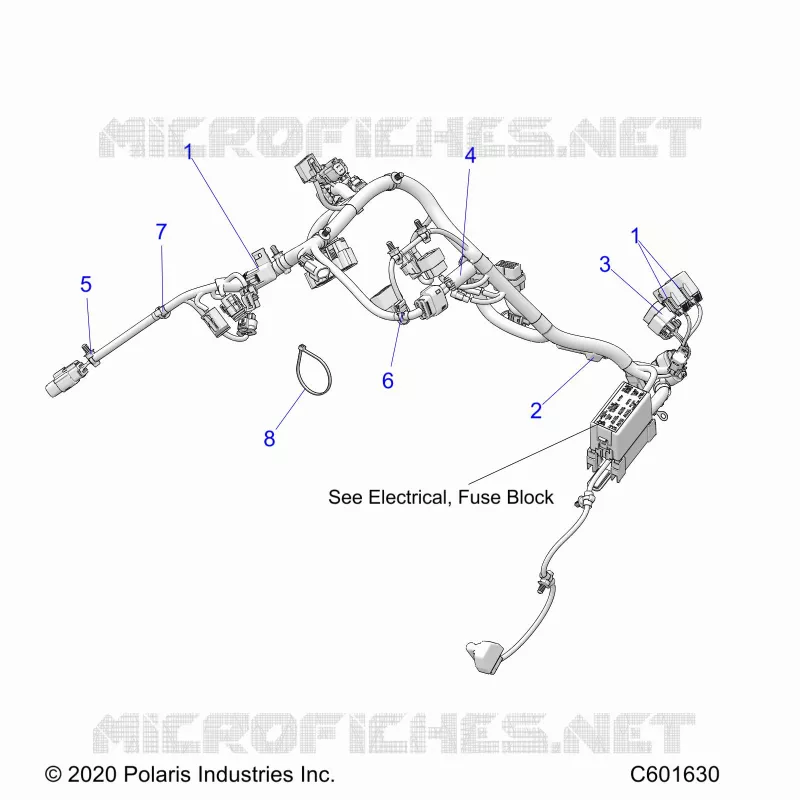 ELECTRICA, WIRE HARNESS, MAIN