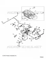ELECTRICA, HARNESS
