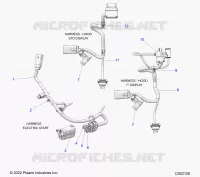 ELECTRICA, WIRE HARNESS, HOOD, ELECTRIC START