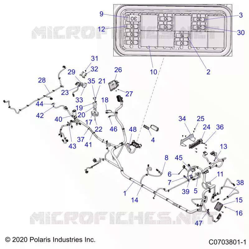 ELECTRICA, WIRE HARNESS
