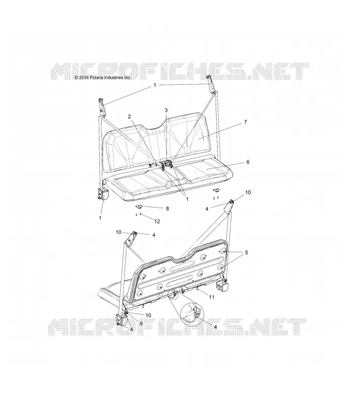 ASIENTO BELTS