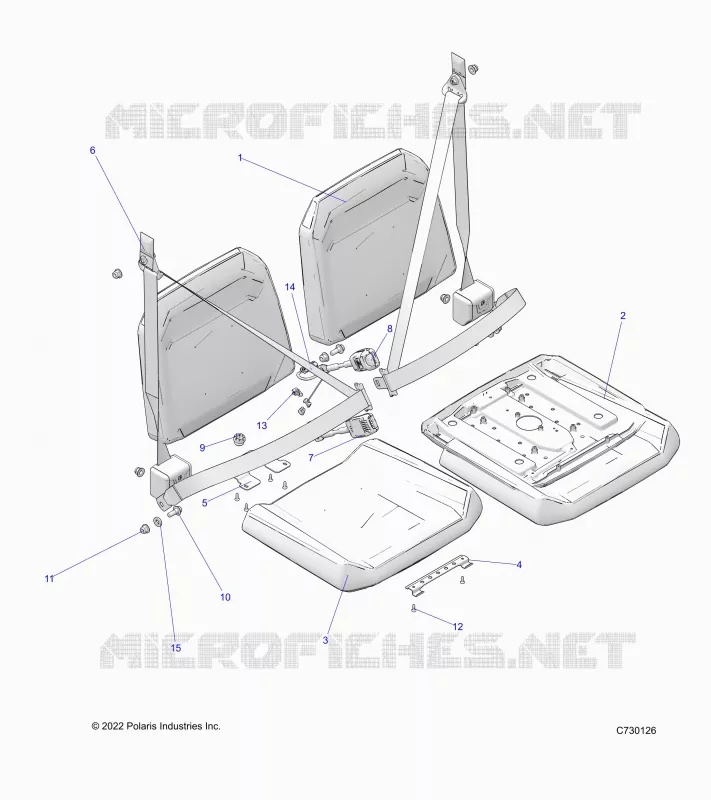 ASIENTO AND BELTS