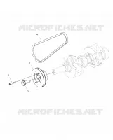 ENGINE, POLEA AND DRIVE BELT