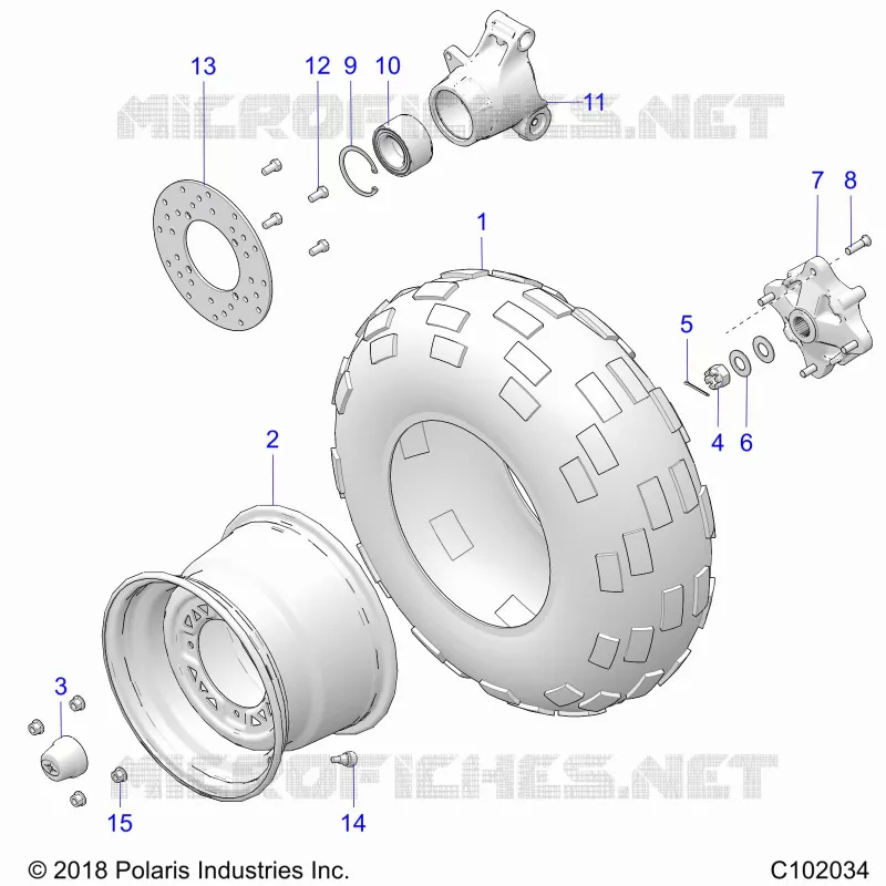 RUEDAS, REAR TIRE AND BRAKE DISC