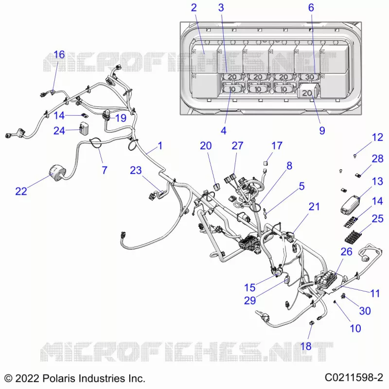 ELECTRICA, HARNESS