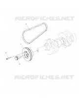 MOTOR, POLEA AND DRIVE BELT