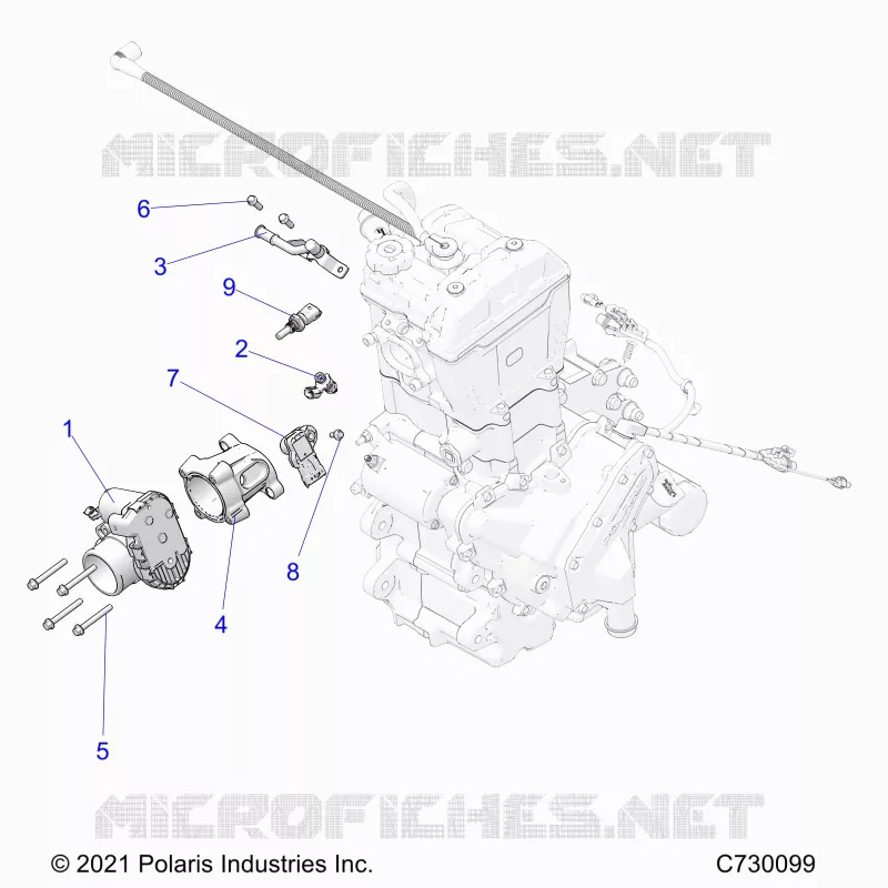 ENGINE, CUERPO DE MARIPOSA AND FUEL RAIL
