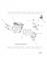 CUERPO DE MARIPOSA AND FUEL RAIL