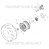 RUEDAS, REAR TIRE AND BRAKE DISC
