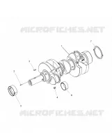 MOTOR, CIGUEÑAL